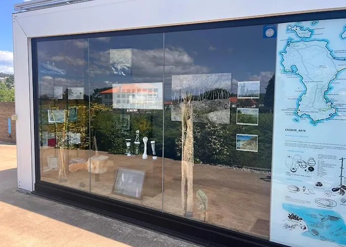 Mardesia サンシェンショ