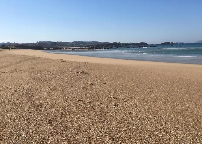 Mardesia サンシェンショ